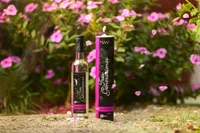 Tres Generaciones Pisco Quebranta